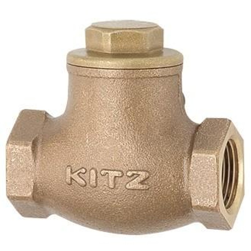 新品未使用正規品 キッツ KITZ 青銅製 スイングキャッチバルブ 10K