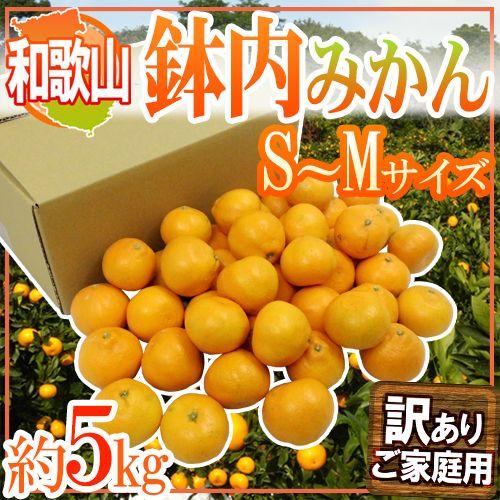 みかん 和歌山・有田産 ”鉢内みかん” 訳あり S〜Mサイズ 約5kg はちうちみかん 送料無料