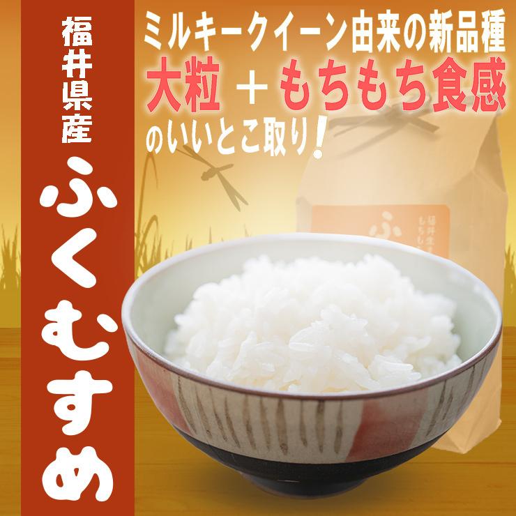 新米 10kg ふくむすめ 5kg×2袋 白米 福井県産 令和5年産 送料無料