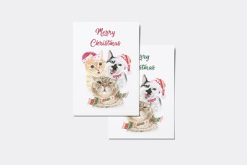 聖誕禮物/聖誕貓咪手繪卡片/明信片