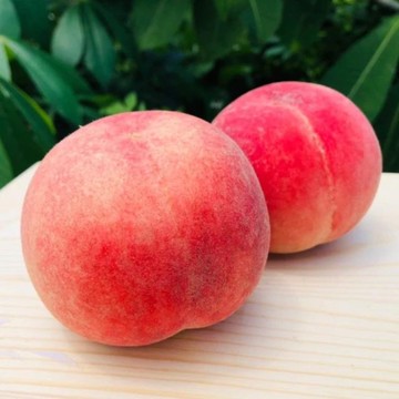 【RealShop 真食材本舖】加州空運水蜜桃 禮盒