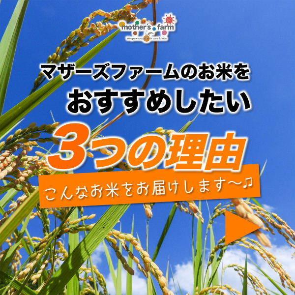 新米 無洗米 玄米 白米 10kg 今ずり米 農薬不使用 コシヒカリ 令和5年産 送料無料