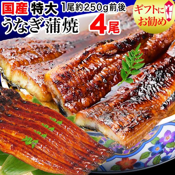 ギフト うなぎ 蒲焼き 国産 鰻 うなぎ蒲焼 セール 九州産 4尾 特大(約250g前後×4尾)60代 70代 80代 宮崎・鹿児島県産