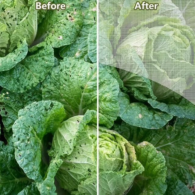 庭の植物の昆虫ネット,野菜の保護,害虫用