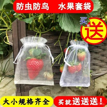 【桃園出貨 】【1410人好評】防鳥通用袋水果套袋防蟲瓜果專用袋無花果枇杷葡萄桃子草莓育苗袋 T0BY TFOI
