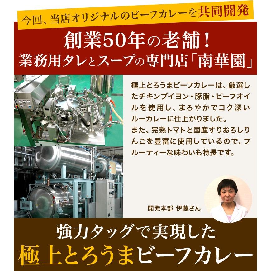 ポイント消化 ビーフカレー レトルトカレー 3食セット 北海道 札幌 1000円ポッキリ 送料無料