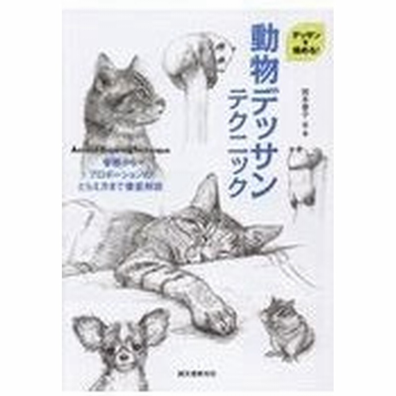 動物デッサンテクニック 岡本泰子 通販 Lineポイント最大0 5 Get Lineショッピング