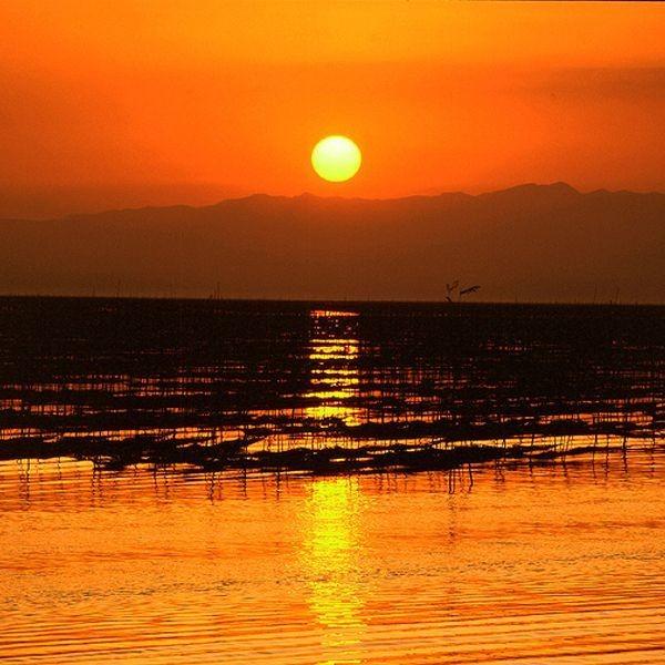 特撰有明海苔（全型7枚×5パック）(のり やきのり 焼き海苔ギフト 有明産重等級海苔 焼き海苔全型セット 太巻き 手巻き寿司