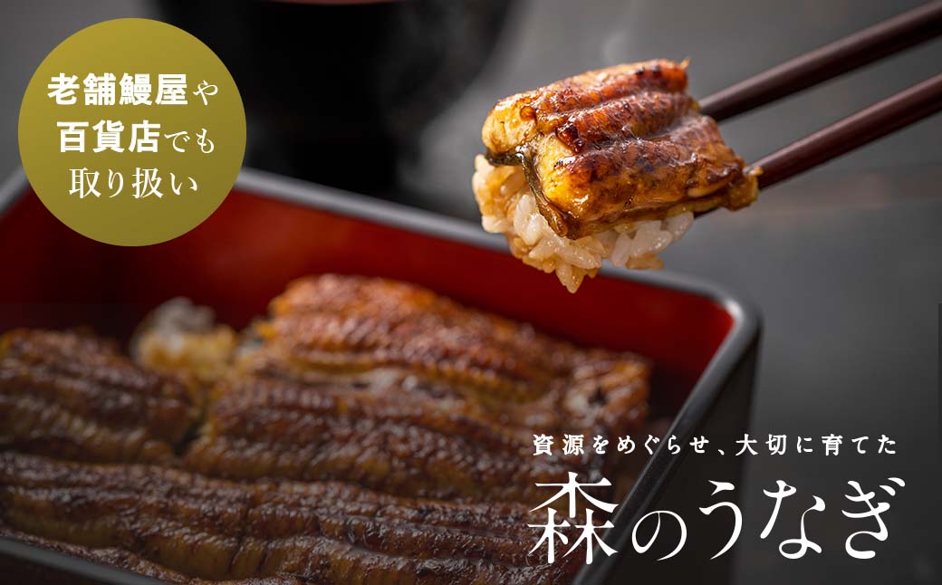 国産うなぎ  手焼き蒲焼 2尾(220g以上)セット 森のうなぎ  A-AA-A03A