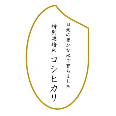 ふるさと納税 日光市 R5産　特別栽培米コシヒカリ　玄米10kg