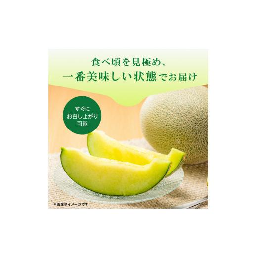 ふるさと納税 茨城県 鉾田市 完熟収穫ならではの旨味「ほこたメロン／緑肉」1箱（2個入）