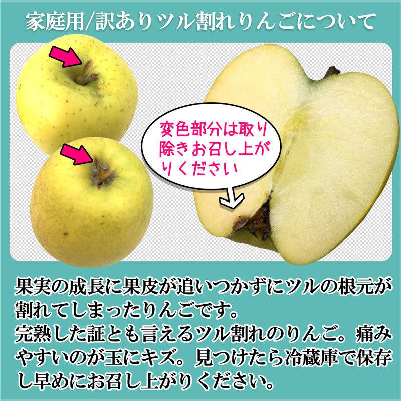 旬のおまかせ 葉とらずりんご（無選別）約2.5kg 7〜16玉 減農薬 長野県産 産地直送 送料無料 #NAX0K025