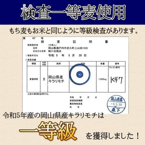 新麦 令和5年産 キラリもち麦 20kg (5kg×4袋) 岡山県産 国産100％ もち麦