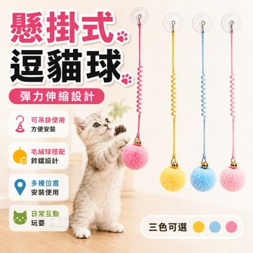 【隔日到貨】🔥 現貨! 貓咪玩具 逗貓棒 貓咪 貓咪用品  寵物 貓玩具 寵物玩具 寵物用品 逗貓 互動玩具 逗貓玩具