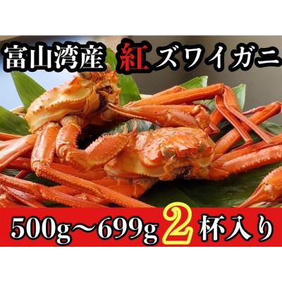 ふるさと納税 魚津市 魚卸問屋のベニズワイガニ500〜600g級×2杯