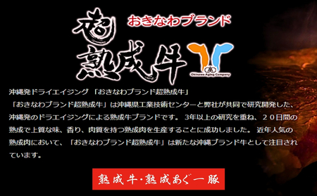 おきなわブランドリブロース＆琉球在来ロースセット　牛肉　黒毛和牛　和牛　熟成　熟成肉　豚肉　アグー豚　アグー