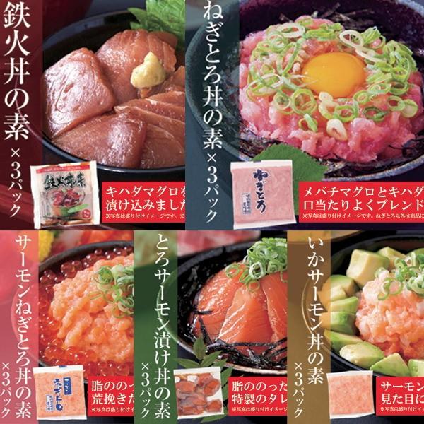 大人気の海鮮丼をどっさり★海鮮丼詰合せ計１５食 （マグロ漬け3p＋ネギトロ3P サーモンネギトロ3p トロサーモン3p イカサーモン3P）［A冷凍］ 直送品