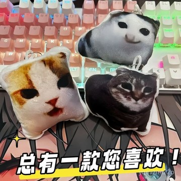 台灣出貨 oiia貓發聲按鍵 旋轉貓 oiiai oiiai貓 貓 貓 meme 旋轉 貓迷因 旋轉貓咪 ENT7
