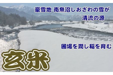 玄米 生産者限定 南魚沼しおざわ産コシヒカリ5Kg×6ヶ月