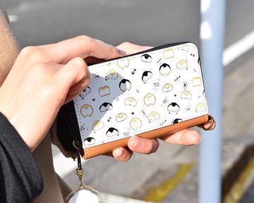 狗屁股硬幣通行證盒