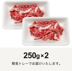 一頭買い 神戸牛 訳あり 切り落とし500ｇ（500ｇ×1パック） 神戸キングミート