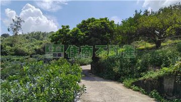 東勢石壁坑便宜農保農地｜台中市東勢區東蘭路