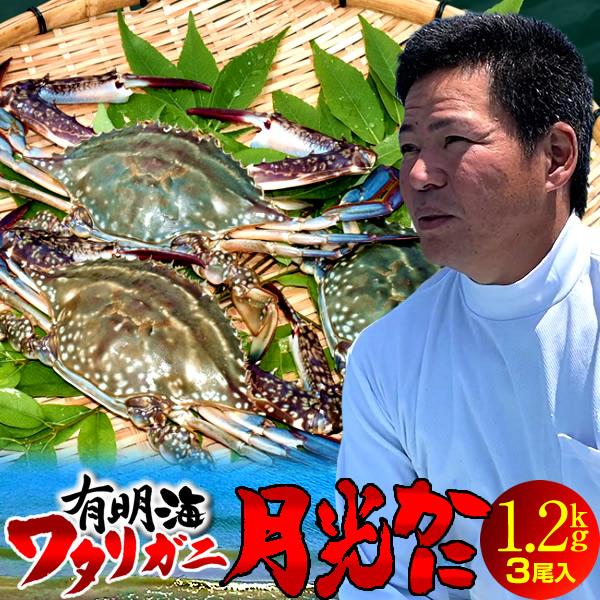 ワタリガニ直売 活〆 有明海 生 渡り蟹 1.2kg(3尾入)わたりがに 熊本県上天草市 旬 活締め冷凍 ボイルして本格パスタに［お歳暮 2023 ギフト 御歳暮］