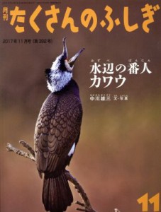  月刊たくさんのふしぎ(１１　２０１７年１１月号) 月刊誌／福音館書店(編者)