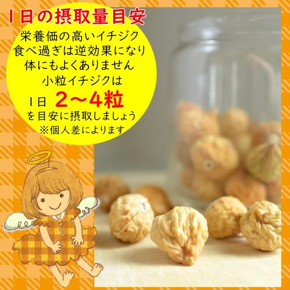 ドライいちじく ぴったりサイズ 500g 小粒 無添加,砂糖不使用 国内加工 懐かしいドライフルーツ ネコポス便発送