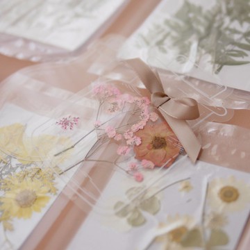 押花書籤材料包 極度花燥 永生花 花禮