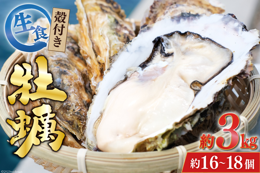  牡蠣 3～4年モノ 生食 殻付き牡蠣 約3kg(約16-18個入) [住喜水産 宮城県 気仙沼市 20562726] 期間限定 冷蔵 新鮮 濃厚 真牡蠣 カキ かき 生牡蠣 魚貝類 生牡蠣 貝 海鮮 魚介類 なべ カキフライ 牡蠣ご飯 魚介