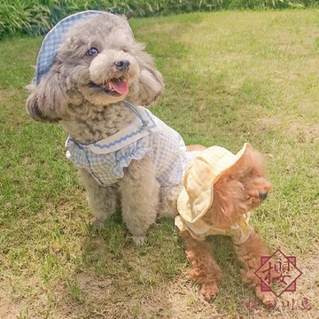 小狗狗衣服秋裝寵物小型犬比熊夏季薄款【櫻田川島】