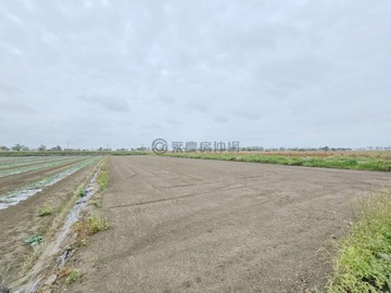 台南佳里蚶寮段1.9分方正美農地｜台南市佳里區蚶寮