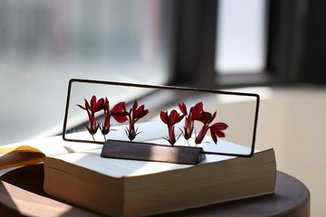 植物圖鑑∣蘿貝麗亞∣玻璃鑲嵌∣花草標本
