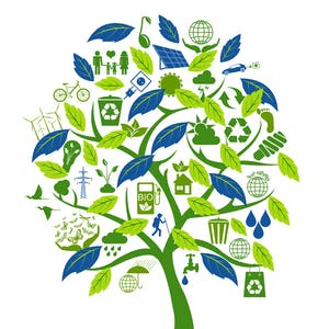 Comprendre l'écologie, pour une économie innovante