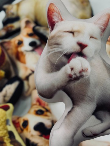 BLR 客製化 寵物抱枕 3天出貨 高速訂製