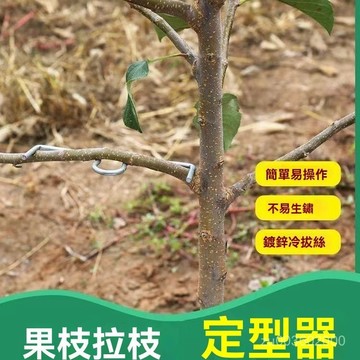 🔥佑佑精選🔥20入 果樹枝拉枝器 園林工具果樹 定型器 壓枝器 傢用盆景固定通用別枝器 開角器 蘋果樹壓枝撥枝別枝器 開