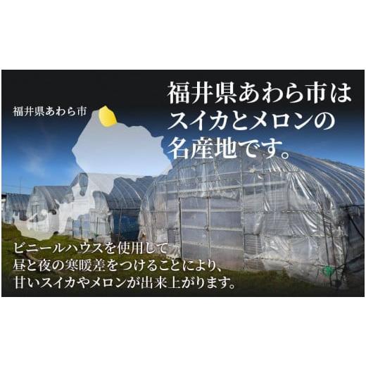 ふるさと納税 福井県 あわら市 小玉スイカ・マルセイユメロン セット 計2玉入（約3kg〜4kg）  秀品 農家直送 有機肥料 低農薬 ※2024年6月上旬よ…