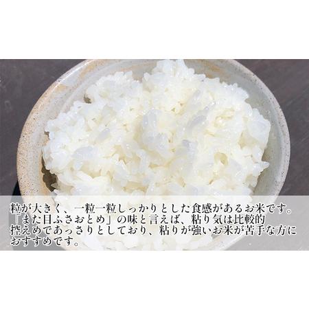 ふるさと納税 新米 令和5年 ふさおとめ 白米 5kg 千葉県千葉市