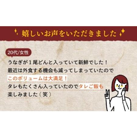 ふるさと納税 うなぎ セット 2尾 ・タレ付き)[NAK004] うなぎ 鰻 ウナギ 炭火焼うなぎ 炭火焼鰻 炭火焼ウナギ 手焼きうなぎ 手.. 佐賀県嬉野市