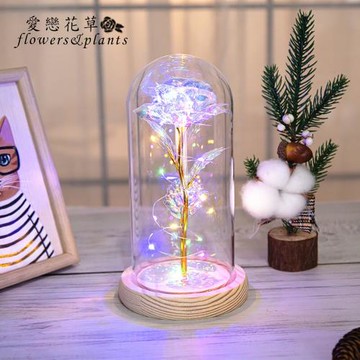 【愛戀花草】玫瑰永生花小夜燈 (七彩氛圍燈光LED、玻璃罩、D004)