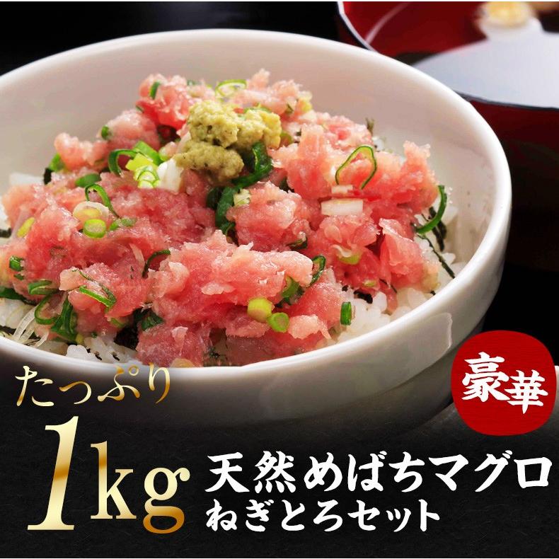 ネギトロ 1kg 100g×10 マグロたたき 冷凍 天然めばちマグロ100％使用 まぐろ 鮪 プレゼント お歳暮 2023 ギフト