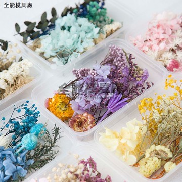現貨隔日達✈️乾燥花組合包 香薰蠟燭 香氛片材料 永生花材料包 花藝材料包 勿忘我 千日紅 金邊玫瑰 乾花花材包 花盒