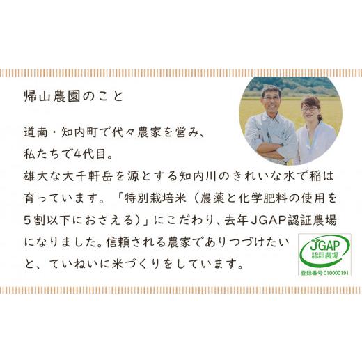 ふるさと納税 北海道 知内町 食べ比べ きたくりん ふっくりんこ 米 各 一合 150g 計2袋 国産 北海道 北海道米 知内 帰山農園