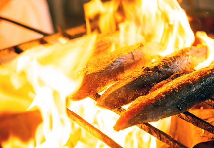 本場高知のかつおの藁焼きたたき　400g以上