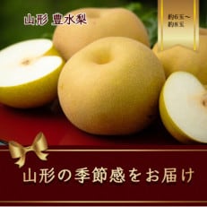豊水梨　6～8玉　約2.5kg