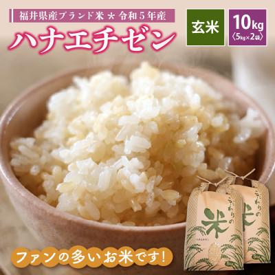 ふるさと納税 越前町 令和5年産　ハナエチゼン(玄米)　10kg