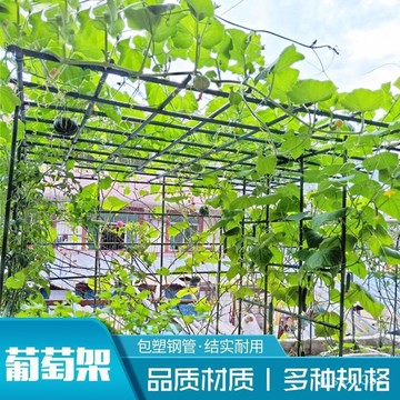 宅配?戶外庭院葡萄架組裝支架百香果苦瓜攀爬架鐵藝棚架陽臺植物爬藤架