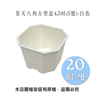 景天八角方型盆4.5吋(5號)-白色 20個/組