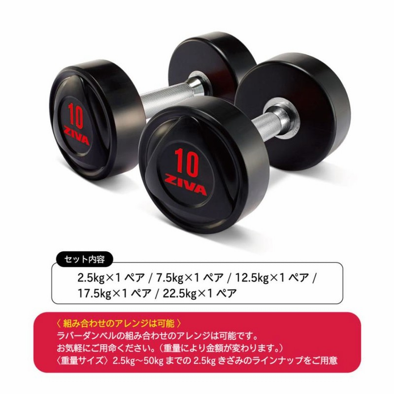 クロームダンベル　ZIVAダンベルラック ZVO 32kg-40kg ソリッドウレタン ダンベル／業務用ダンベル